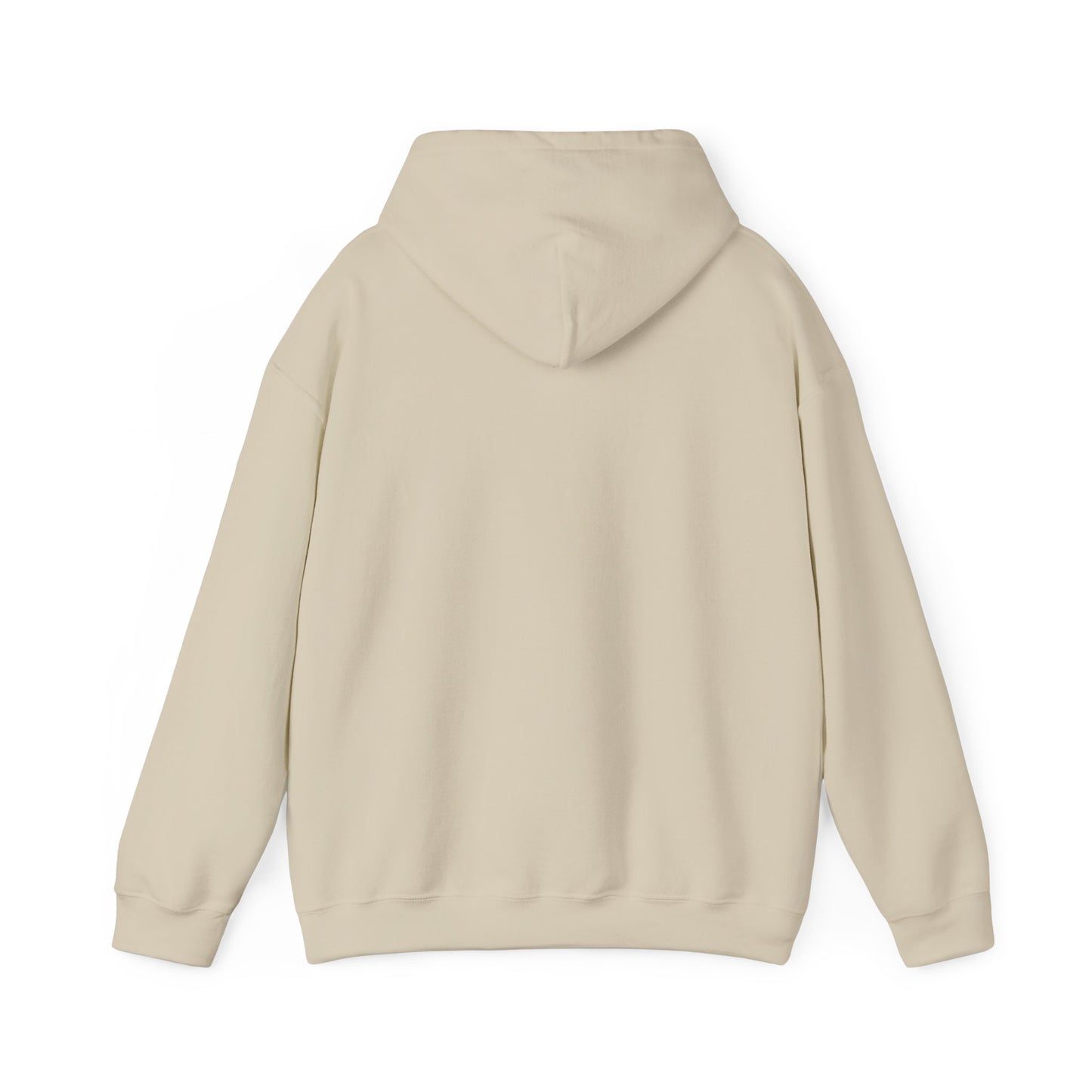 Error Street Not Found Hoodie