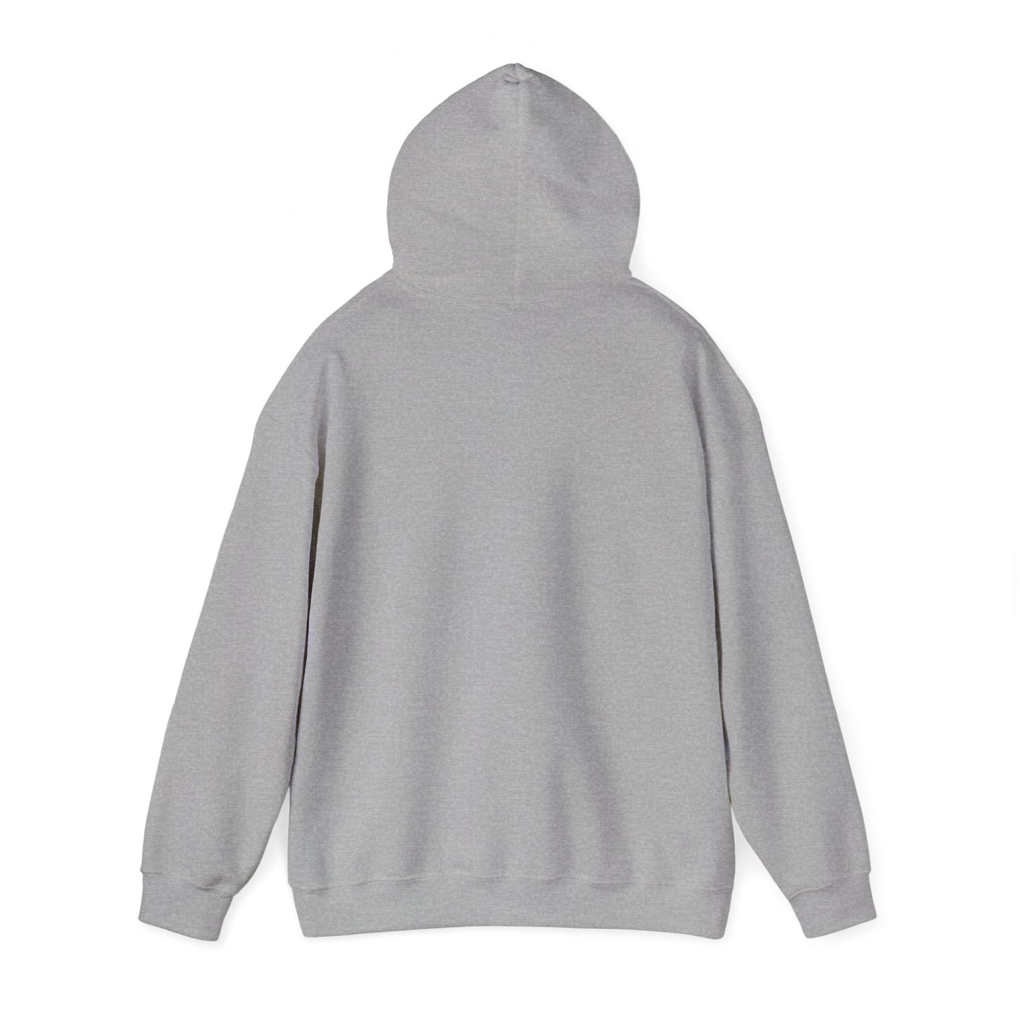 Error Street Not Found Hoodie