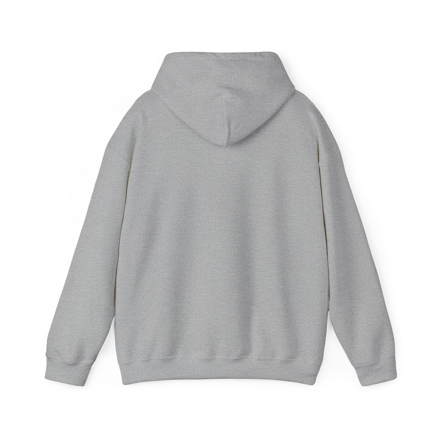 Error Street Not Found Hoodie