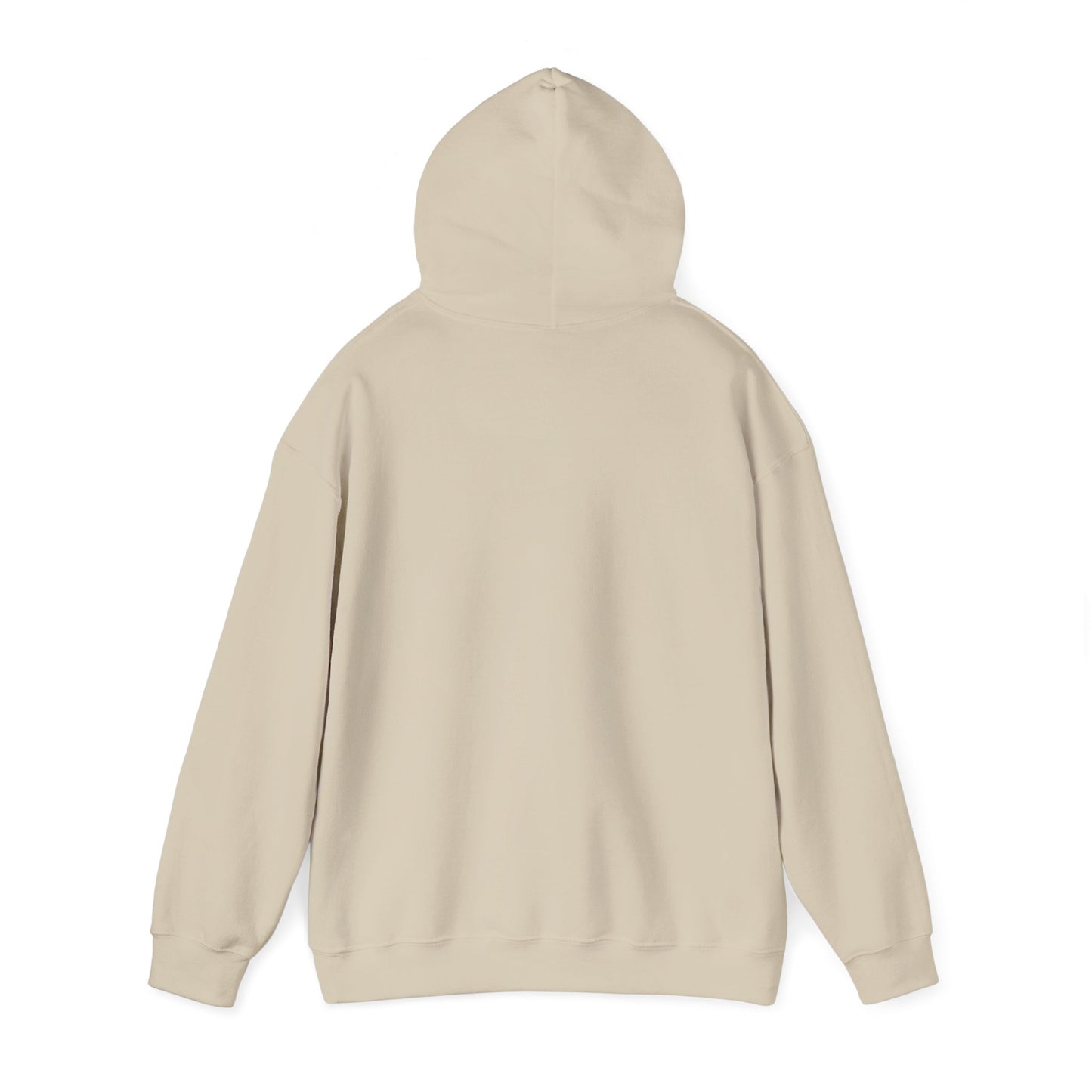 Error Street Not Found Hoodie