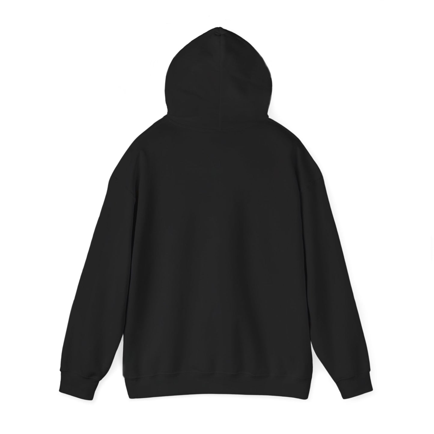 Error Street Not Found Hoodie