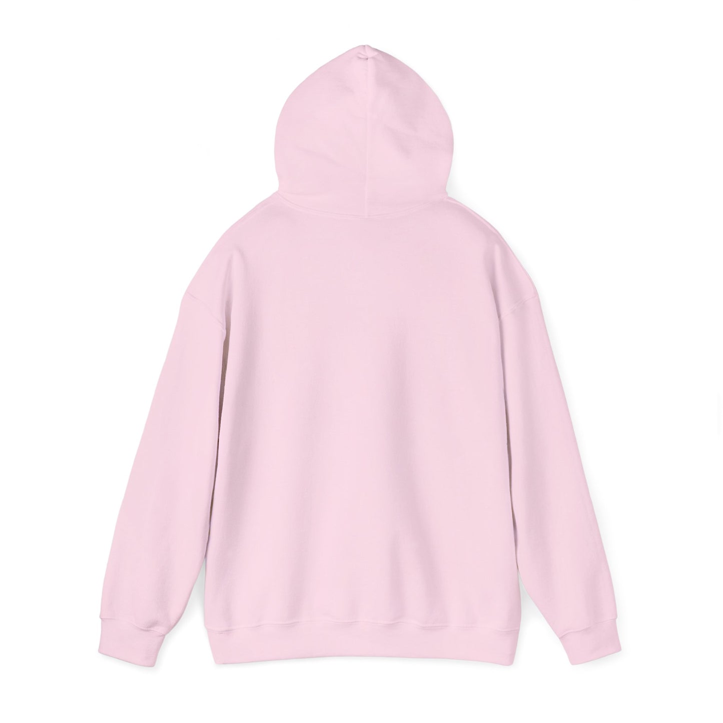 Error Street Not Found Hoodie