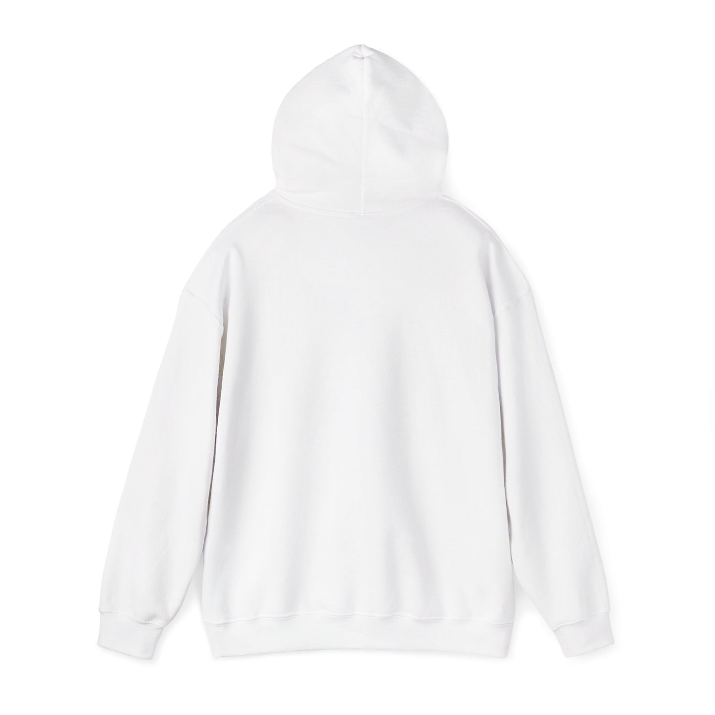 Error Street Not Found Hoodie